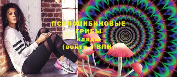 ПСИЛОЦИБИНОВЫЕ ГРИБЫ Алексин