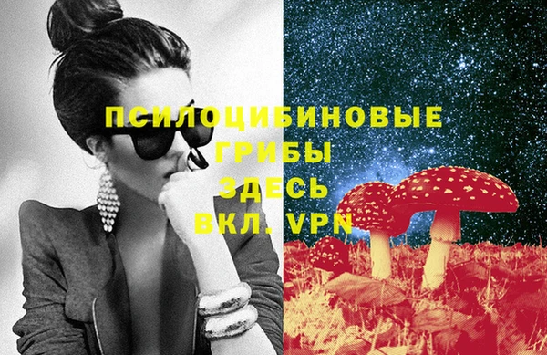 ПСИЛОЦИБИНОВЫЕ ГРИБЫ Алексин